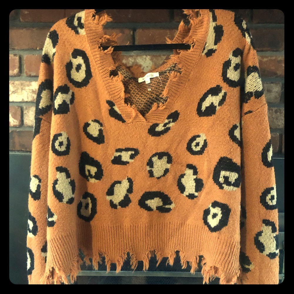 Trendy animal print sweater